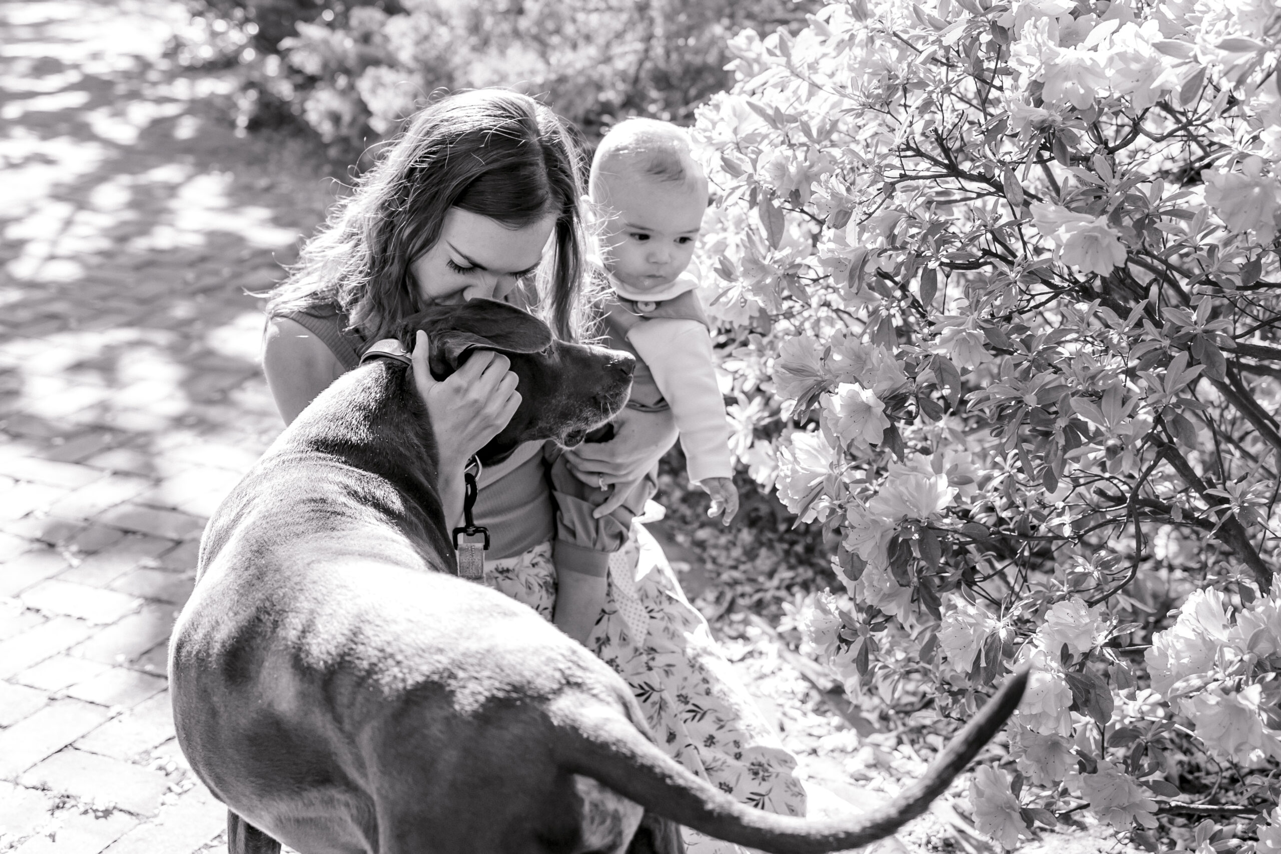 Mom holding baby and kissing dog