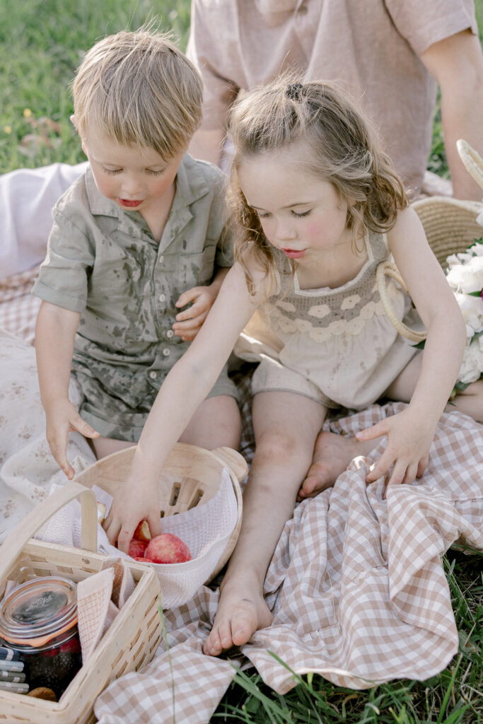 children reaching for a peach in a basket at a picnic photo session