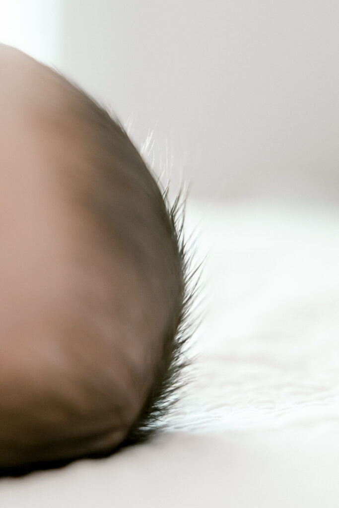 Close-up of newborn’s hair during an in-home newborn session
