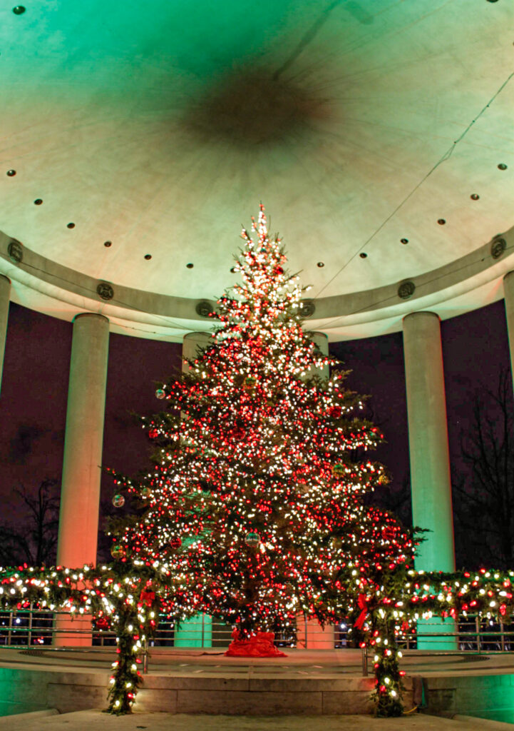 Meaningful holiday traditions for families include decorating a Christmas tree.